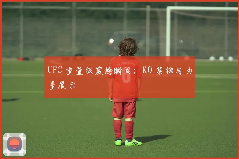 UFC 重量级震撼瞬间：KO 集锦与力量展示